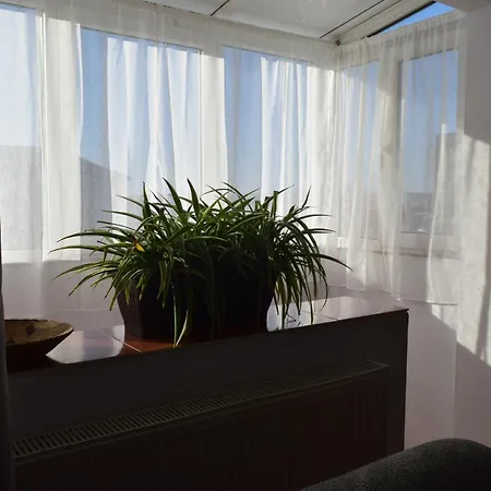 Apartament Simina Timisoara Exterior photo