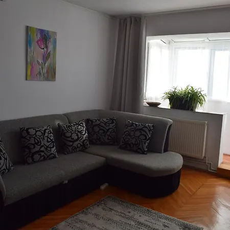 Apartament Simina Timisoara Exterior photo