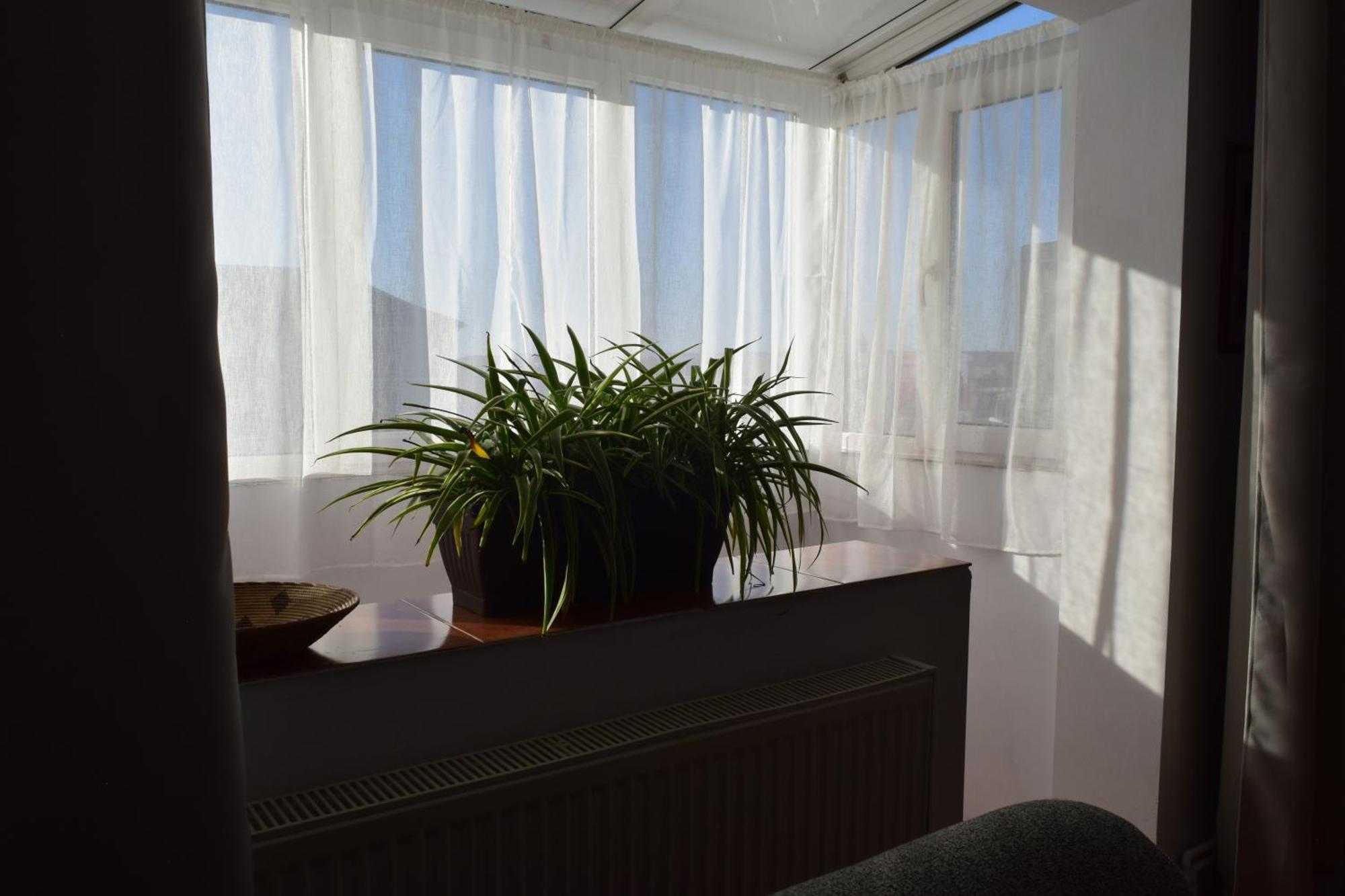 Simina Apartment *